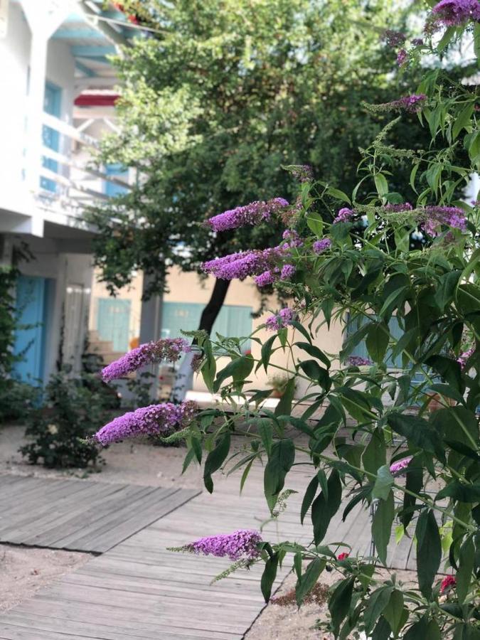 Casa Stavros Hotell Două Mai Eksteriør bilde