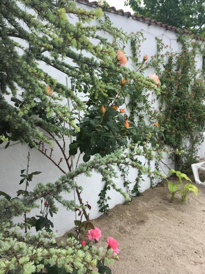 Casa Stavros Hotell Două Mai Eksteriør bilde